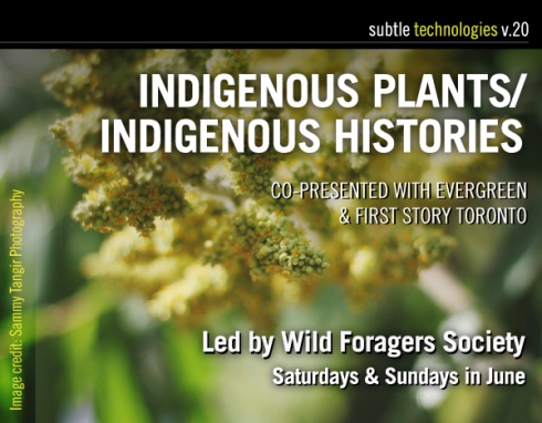Indigneous-Plants_web-banner